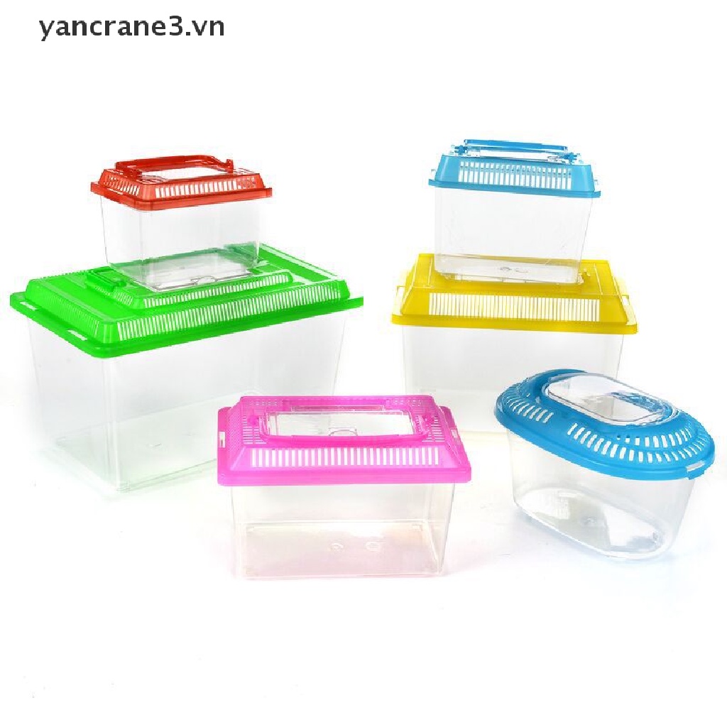 Bể Cá Bằng Nhựa Trong Suốt Di Động Tiện Dụng