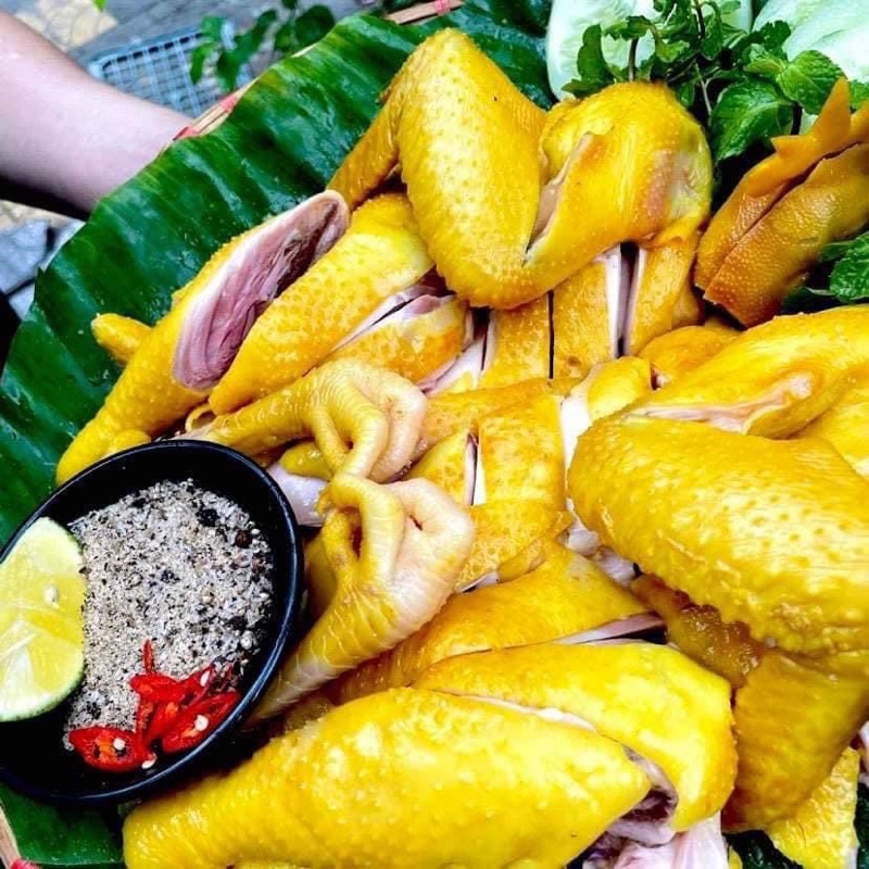 GÀ RI Ủ MUỐI NGUYÊN CON