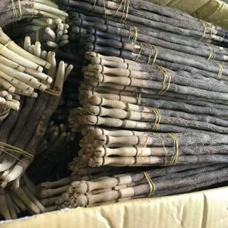 Cầu thuốc cầu thẳng , cầu góc