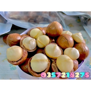 Hạt macca sấy nứt vỏ đắk lắk - tây nguyên 500gr