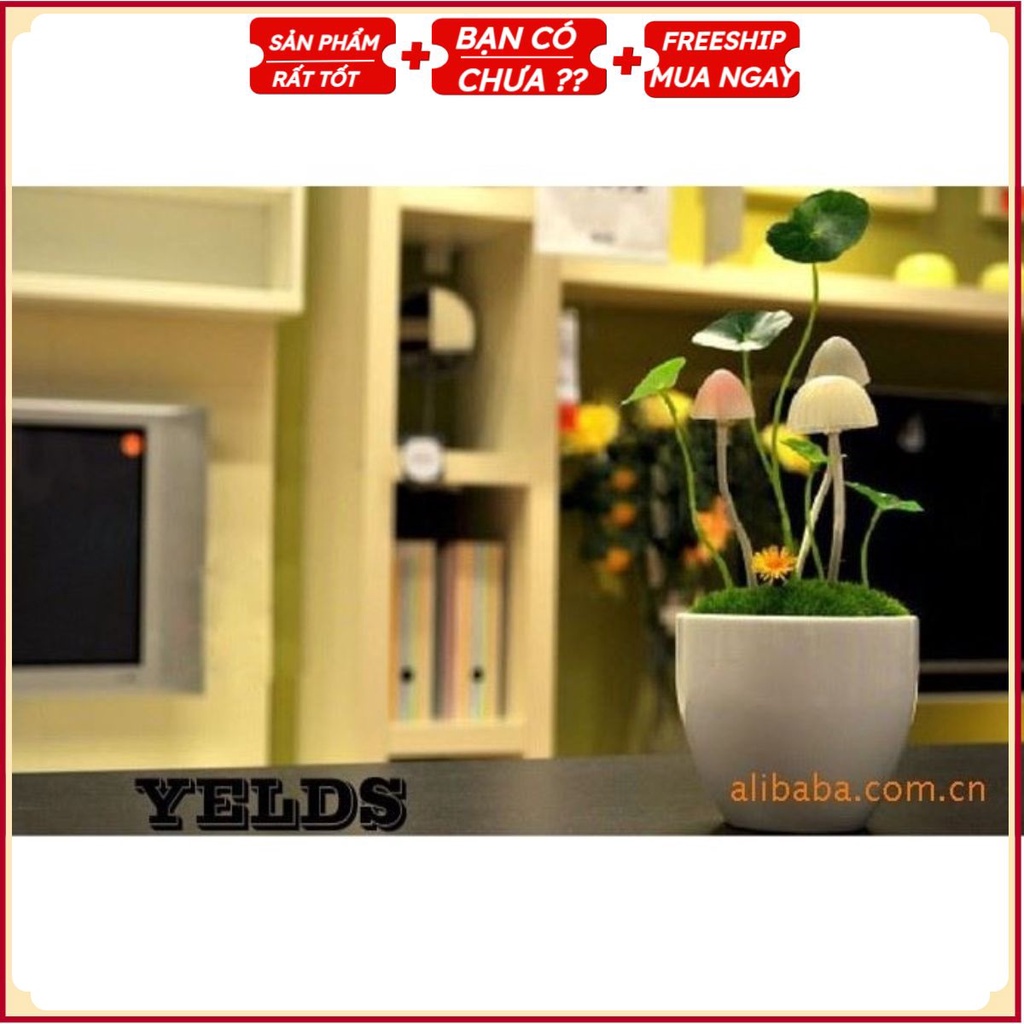 Đèn Ngủ Avatar Chậu Tròn USA Store (Trắng)