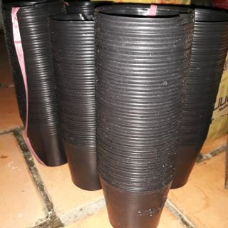 Chậu nhựa c5 _combo 500 cái_liên an