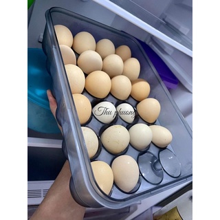 khay trứng 24 quả