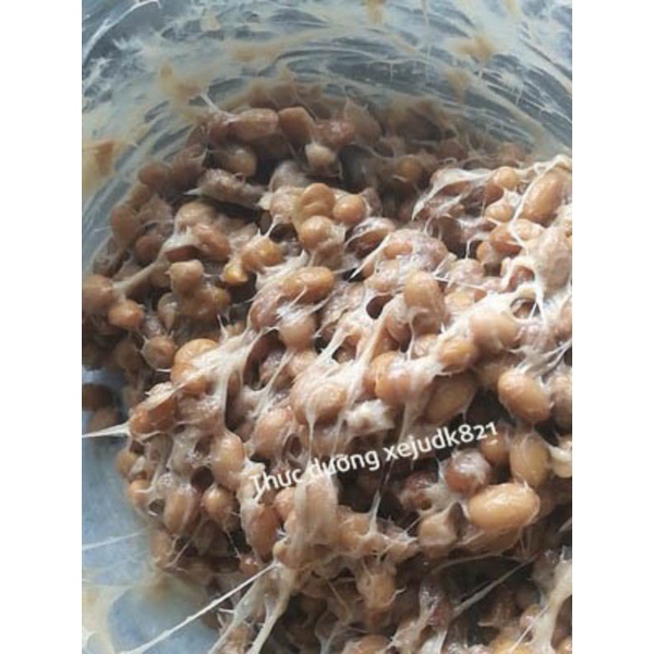 Men natto xejudk821