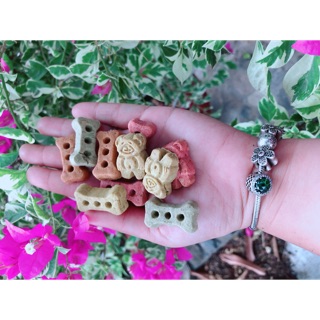 Mài răng cookies -thịt gà hầm hạt dẻ - thức ăn bổ sung cho hamster