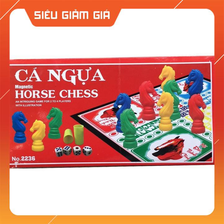 BỘ CÁ NGỰA NAM CHÂM TO