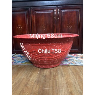 Chậu nhựa truyền thống t58 trồng cây vân đá đỏ 56x28