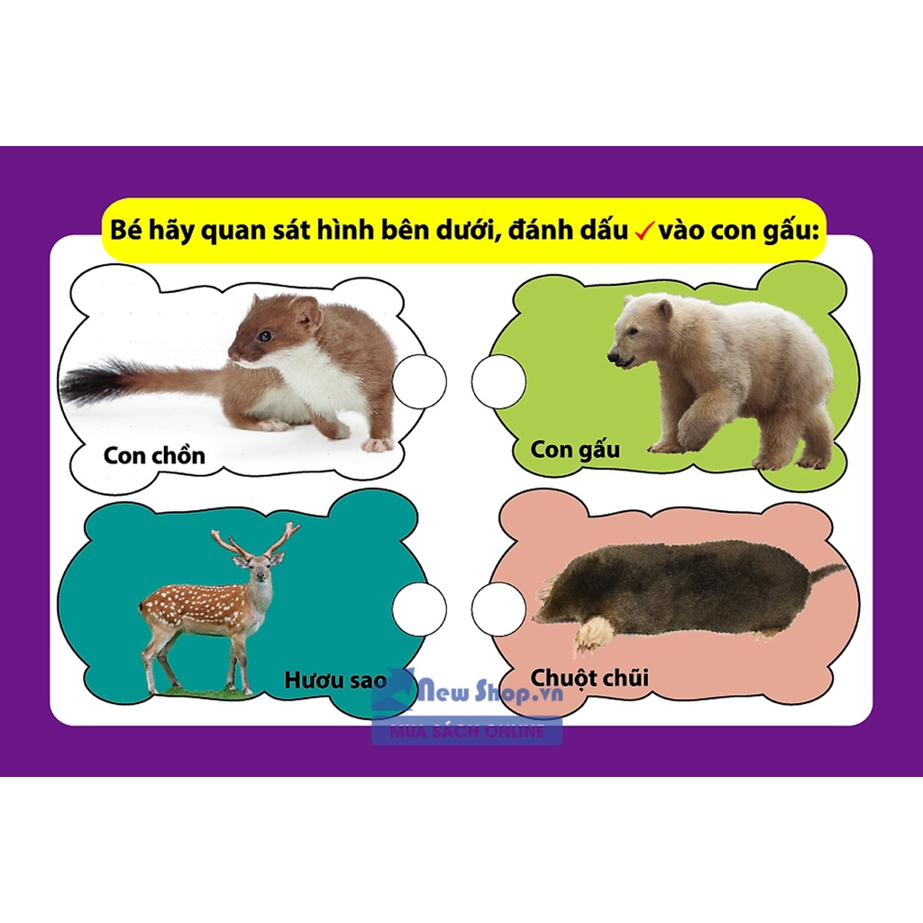 Thẻ Flashcard Thông Minh - Bé Nhận Biết Thế Giới Động Vật