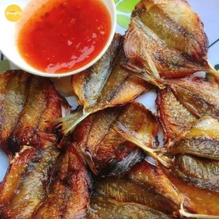 Hàng ngon - 0.5kg Cá chỉ vàng khô (khô cá chỉ vàng) loại ngon thịt ngọt, dẻo, thơm đặc trưng_Đặc sản Xứ Nghệ