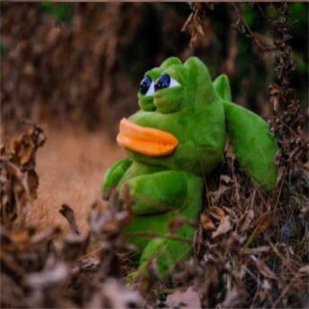 Đồ chơi nhồi bông kiểu chú ếch pokemon xanh lá từ cotton PP mềm mại đáng yêu cho nữ