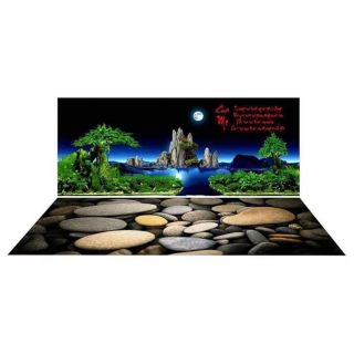 Tranh 3D bể cá bộ lưng + đáy kt 120x50x60(drc)