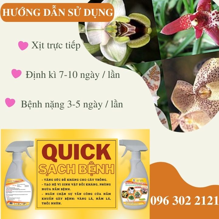 QUICK - SẠCH BỆNH: Phòng Ngừa Nấm Bệnh, Tăng Sức Đề Kháng Cho Cây. Xịt liền không pha chế, An Toàn Sinh Học