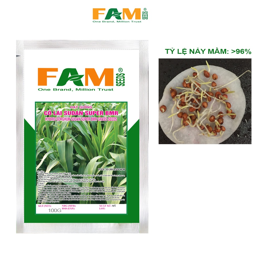 Gói 100g Hạt Giống Cỏ Lai Sudan Super BMR FAM SEEDS Xuất Xứ USA - Giống Cỏ Cao Lương, Sinh Trưởng Mạnh, Mau Thu Hoạch