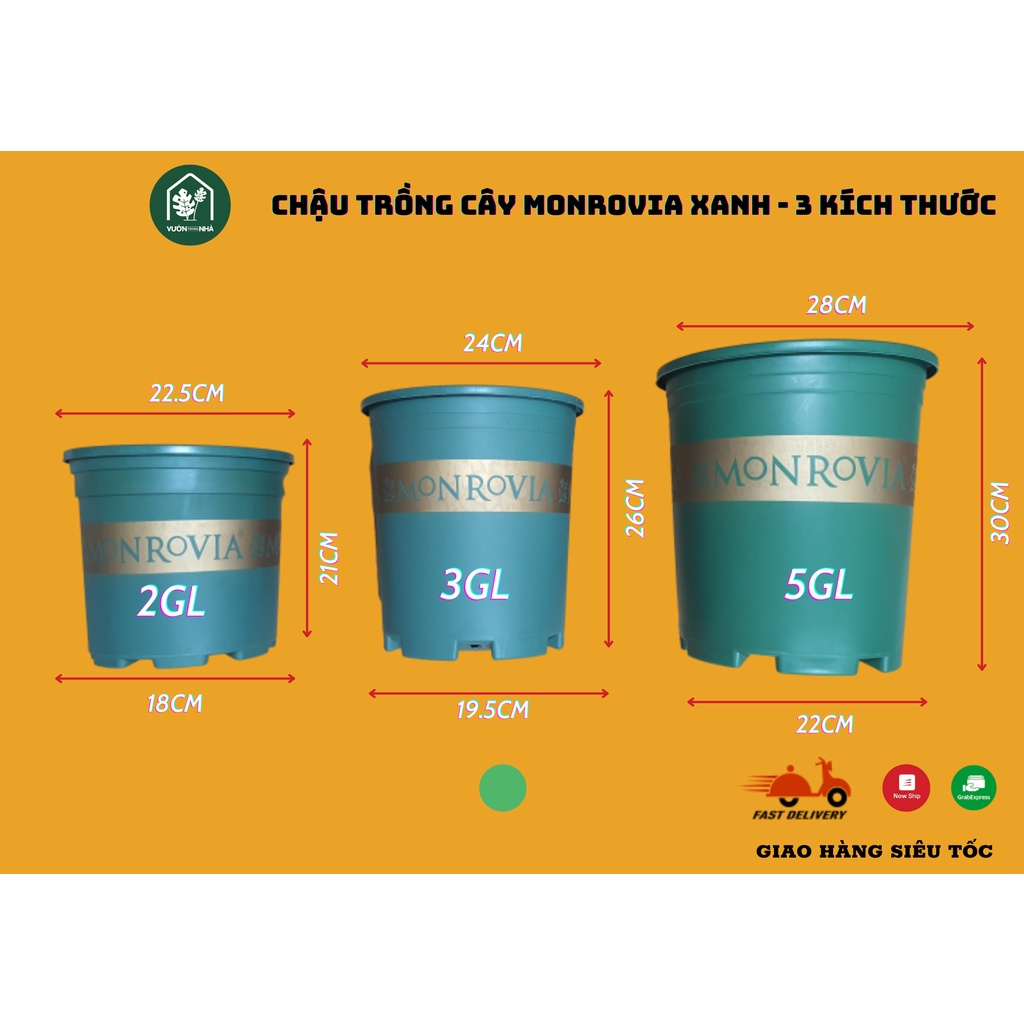 Chậu nhựa MONROVIA 2 màu sắc 4 kích thước 1GL 2GL 3GL 5GL Việt Nam - Chậu trồng cây cảnh