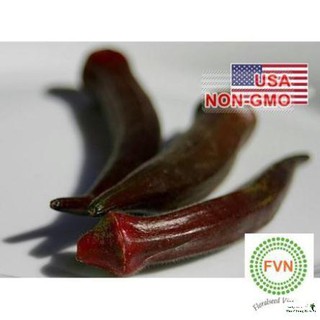 2g hạt giống đậu bắp - đỏ chịu nhiệt burgundy luckyy.
