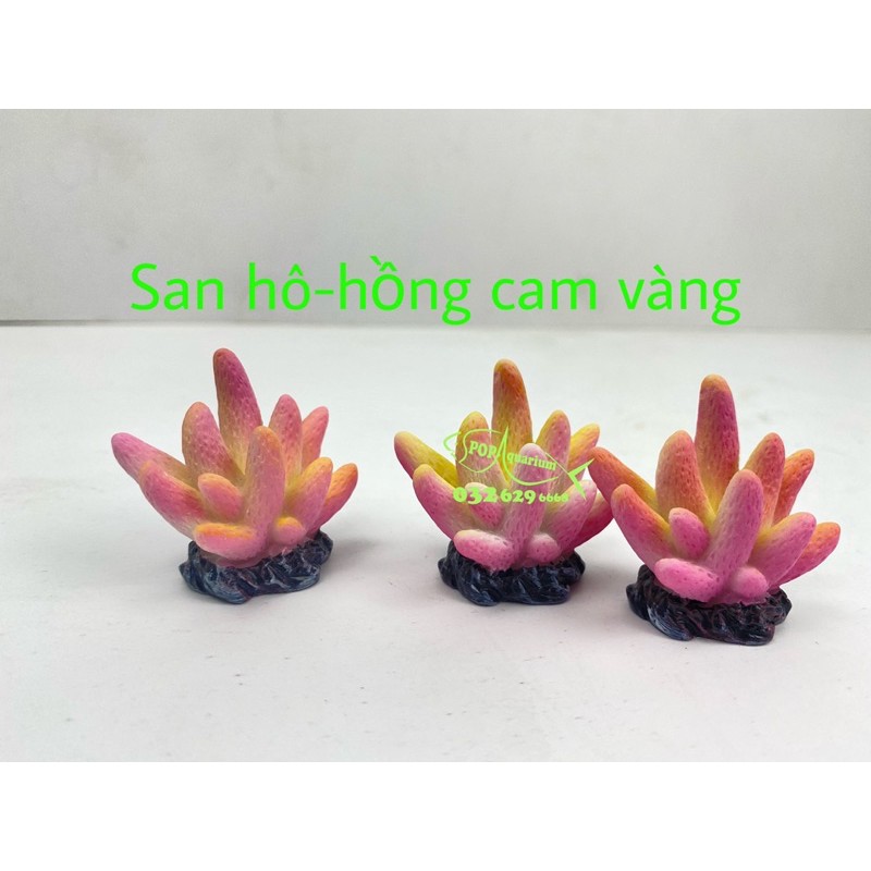 San hô trang trí bể cá nhỏ