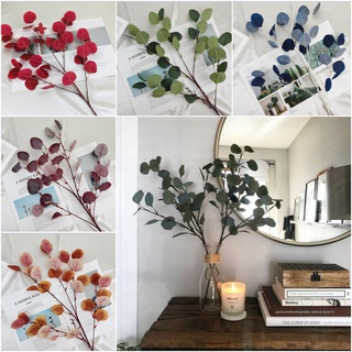 CÀNH LÁ BẠCH ĐÀN /CÀNH BÈO TÂY cành 5 nhánh cao 90cm cắm túi giấy decor background, cổng hoa