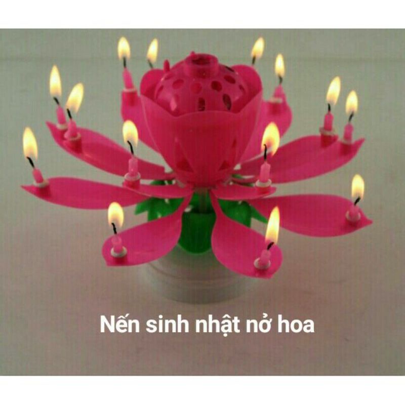 NẾN THƠM, NẾN SINH NHẬT CÁC LOẠI