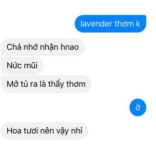 Túi thơm oải hương