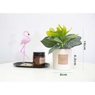 Cây giả, Chậu lá May Mắn, chậu đất nung.