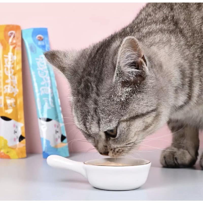 Súp thưởng cho mèo Cat food thức ăn chó mèo bổ dưỡng giá rẻ 15g