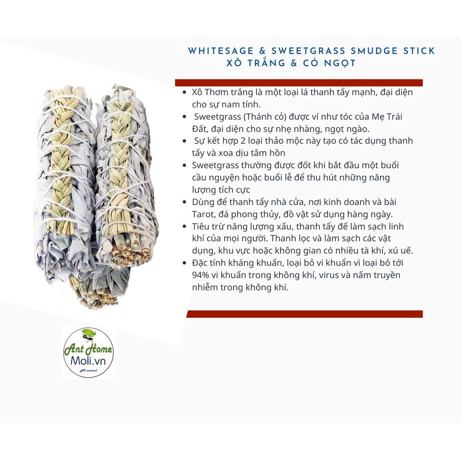Bó lá xô thơm mix cùng cỏ ngọt xông thơm nhà cửa 10cm ( White Sage with Sweetgrass 4&quot;L )