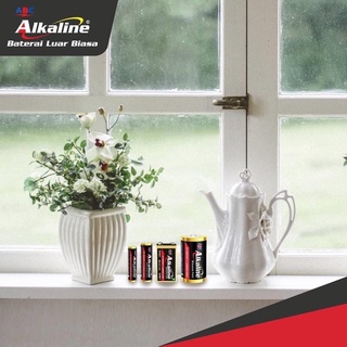 Pin Alkaline  2A va 3A vĩ 2 viên