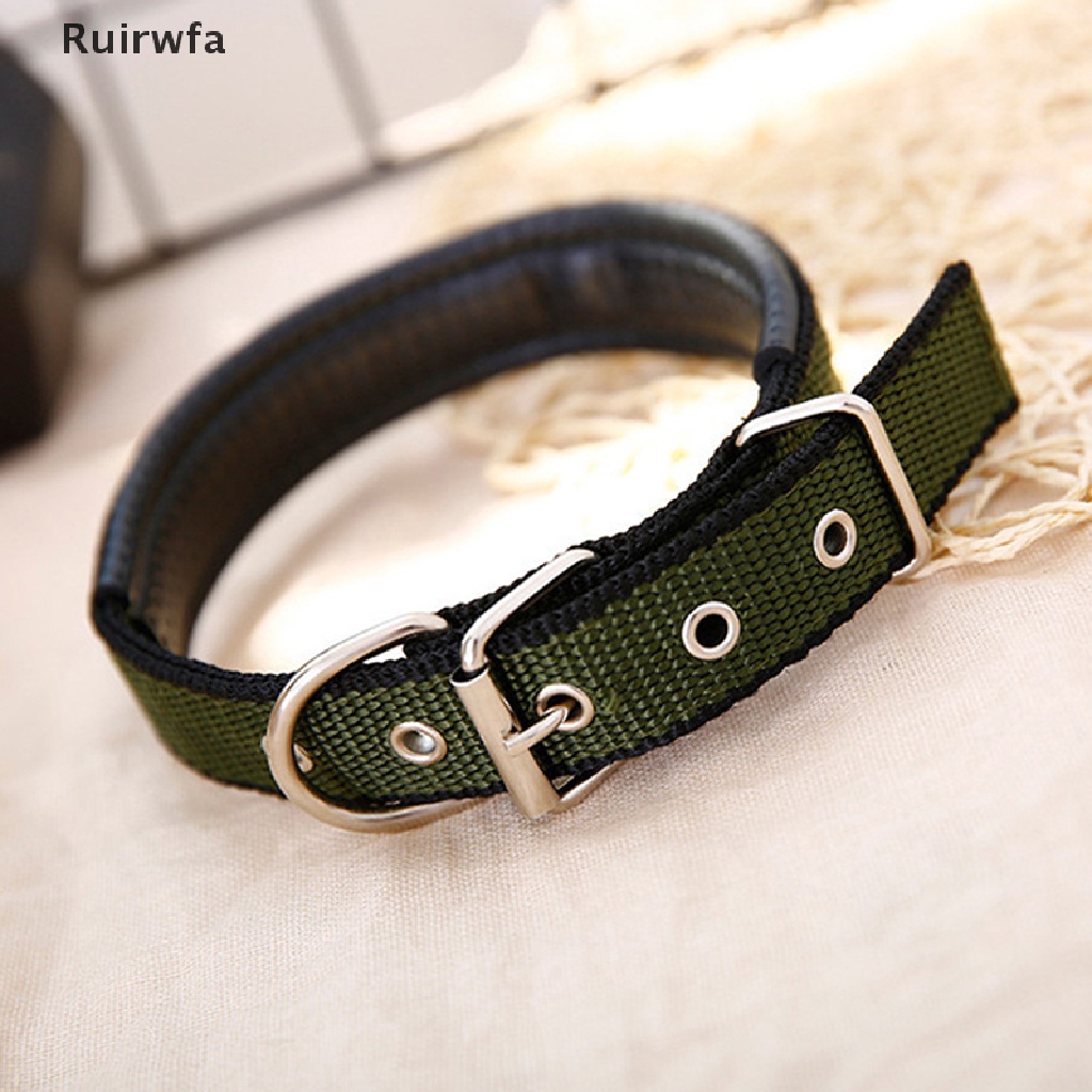 Vòng cổ nylon Nhỏ / Vừa / Lớn / Nhỏ Xinh Xắn Dành Cho Chó Bull Beagle