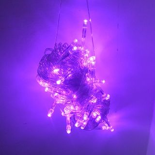 10 Đèn Led Dây Chớp Nháy 5m