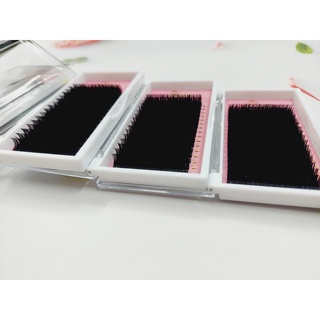Mi Flat chất mi siêu đẹp và mềm (Độ Dày 0.15)