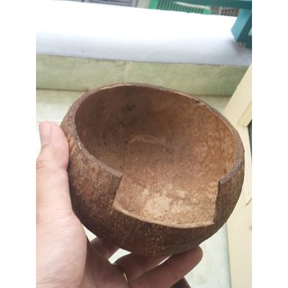 Hang trú gáo dừa dành cho thú cưng nhỏ