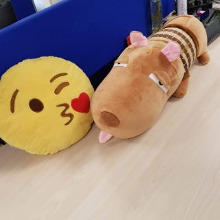 Gối mặt cảm xúc