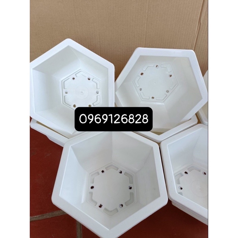 Chậu nhựa lục giác trồng cây Bon sai màu trắng_ chậu tứ quý hàng dày đẹp _ảnh thật
