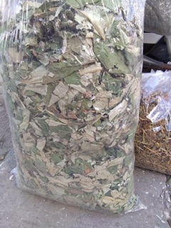 Lá sen khô 1kg