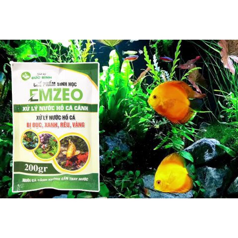 Chế phẩm emzeo xử lý nước hồ cá bị đục, xanh, rêu, vàng (emzeo cá cảnh)
