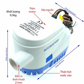 Máy bơm chìm tự động 12v 24v 750gph