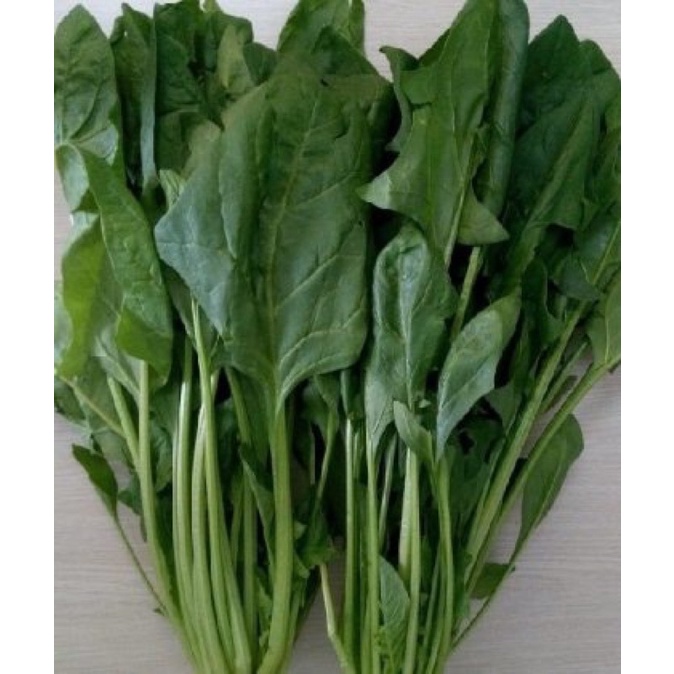 Hạt giống Cải bó xôi, đóng gói 20gr, giàu dinh dưỡng, dễ trồng, ít sâu bệnh