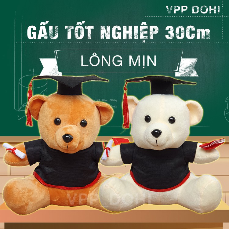 Gấu bông tốt nghiệp 30cm lông trơn giá sỉ, tặng giấy gói quà