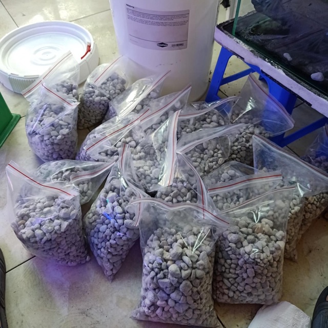 [TEM SICAVI] Seachem Matrix 1 Lít - Vật Liệu Lọc Cao Cấp Cho Bể Cá