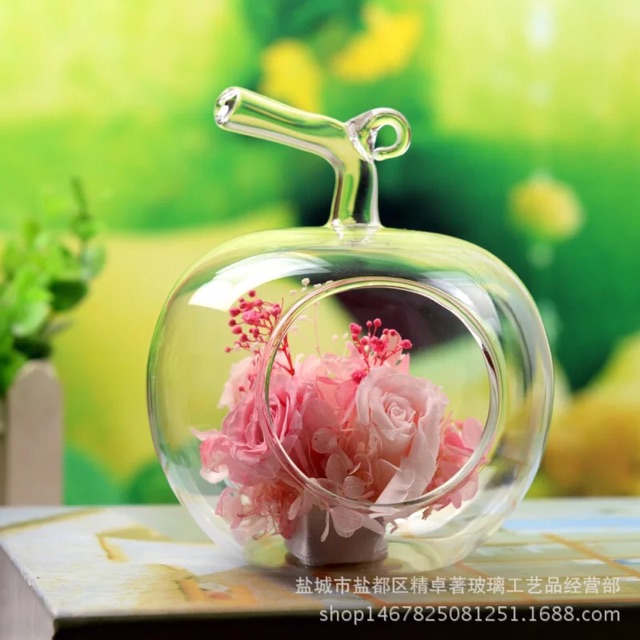 Chậu kiểng hình táo