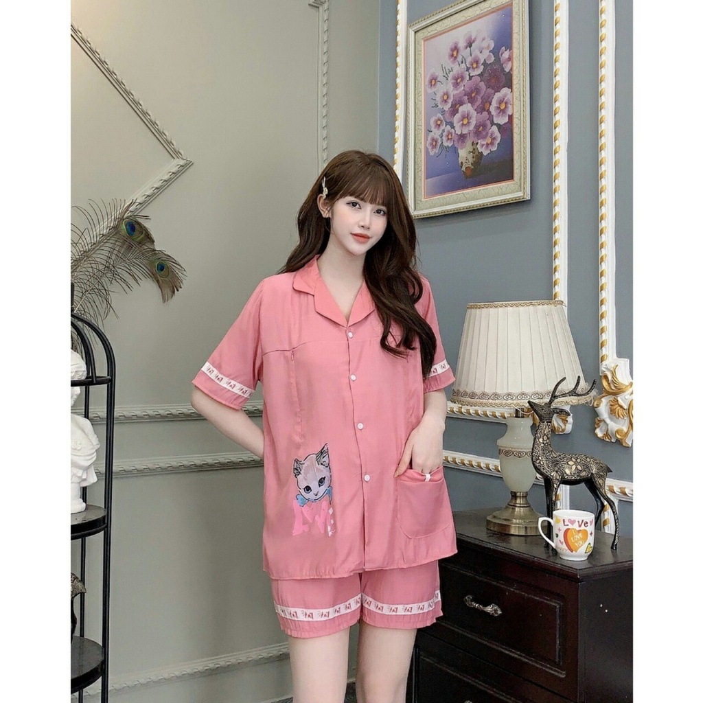 Bộ Bầu Sau Sinh Cộc Tay Khóa Kéo Dọc Cho Con Bú Chất Đũi Hàn Mát Mềm A073 Lin Store66