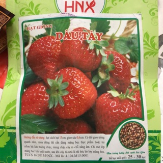 Hạt giống Dâu Tây đỏ F1