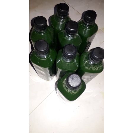 Nước cốt lá nếp - lá cẩm tím tự nhiên chai 500ml