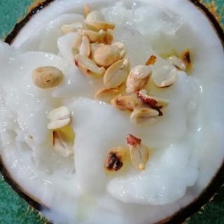 Cây giống dừa sáp