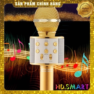 Micro hát Karaoke Kèm Loa WS-858