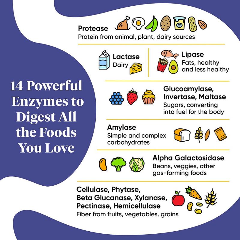 Viên Men Tiêu Hóa Enzyme, ENZYMEDICA Digest Gold ATpro Tăng Hấp Thu Dinh Dưỡng, Cải Thiện Hệ Tiêu Hóa Vegan Kosher