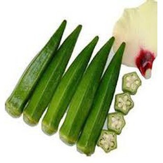 Hạt giống đậu bắp