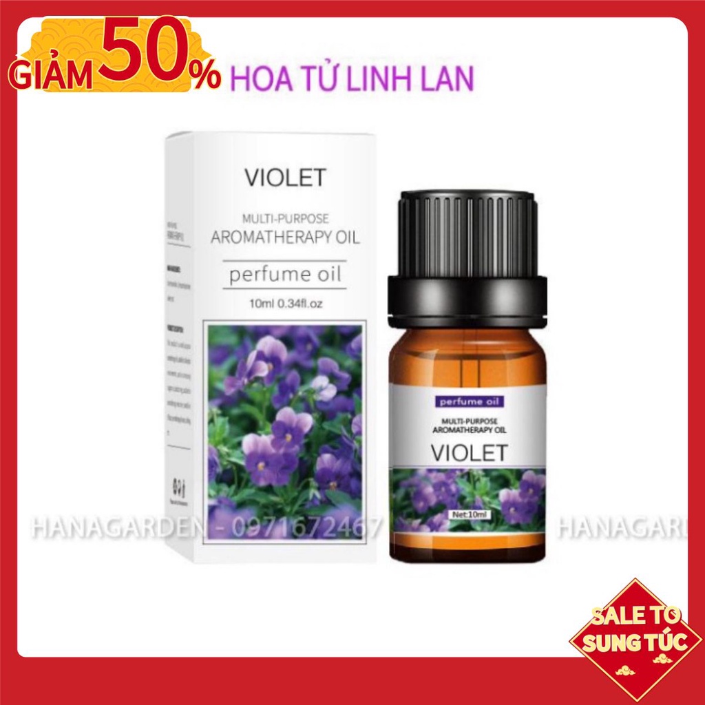 Tinh Dầu Hoa Tử Linh Lan (Violet) Bồng Bềnh Lãng Mạn 💜 MUA 5 TẶNG 1💜 Thiên Nhiên Thư Giãn. Dung tích: 10ml