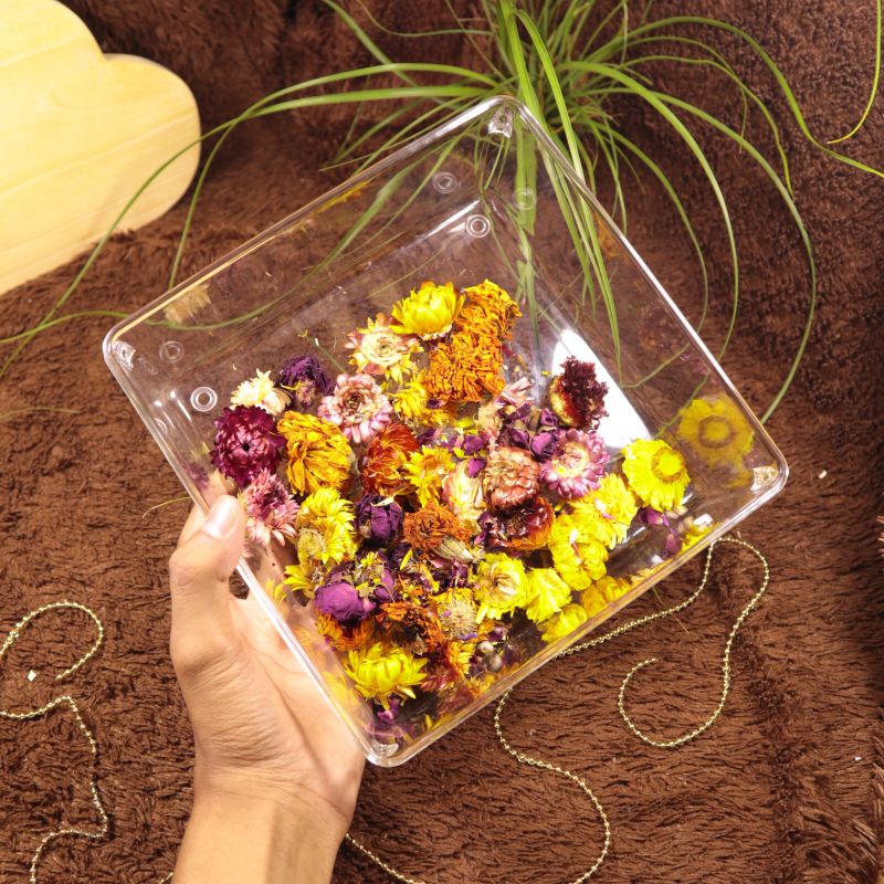 Orionpets - Hộp Cát Tắm Cho Chuột HAMSTER Bằng Orionpets | Bồn Tắm Chuột Hamster | Đặt Cát Chuột Hamster | Hộp Cát Cho Chuột Hamster | Hộp Nhựa Acrylic Đựng Chuột hamster Chuyên Dùng | Bồn Tắm Chuột Hamster | Bồn Tắm Chuột hamster Bằng Gỗ | Hộp Tắm Cát Ch