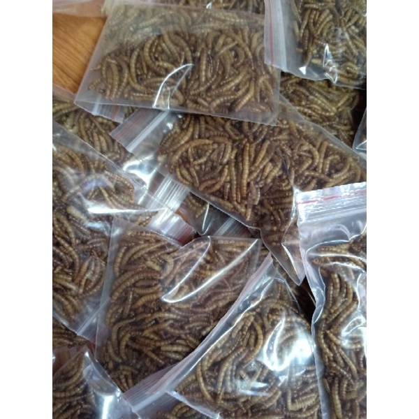 sâu rang bơ